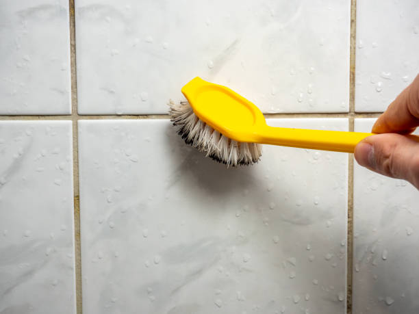Best Mold Remediation for Specific Building Types in Carpendale, WV